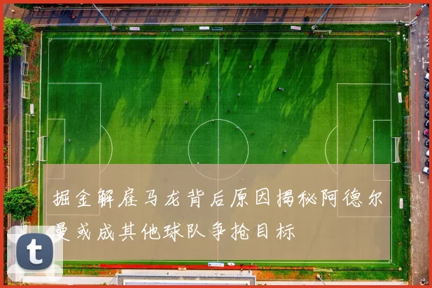 掘金解雇马龙背后原因揭秘阿德尔曼或成其他球队争抢目标